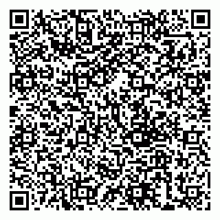 vCard 79999380717