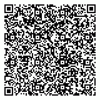vCard 79999380794