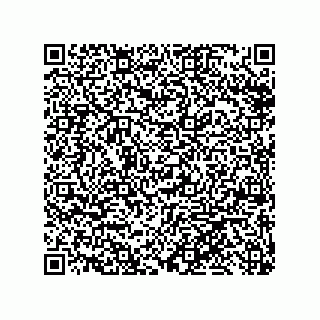 vCard 79999400001