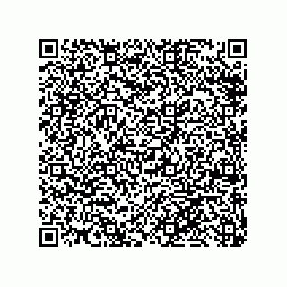 vCard 79999400041