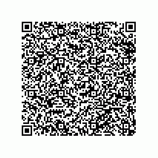 vCard 79999400053