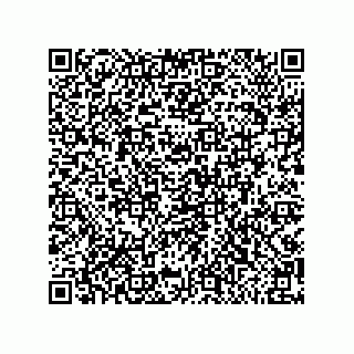 vCard 79999400063