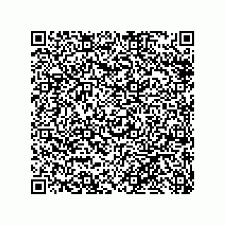 vCard 79999400085