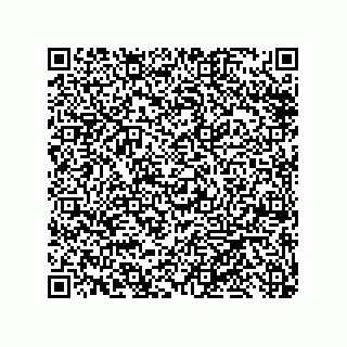 vCard 79999400087