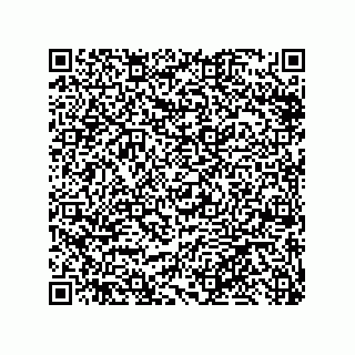 vCard 79999400095