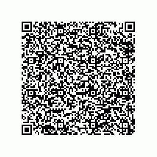 vCard 79999400096