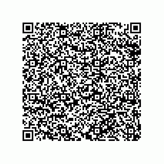 vCard 79999400101