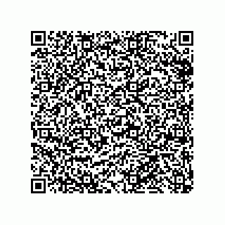 vCard 79999400113