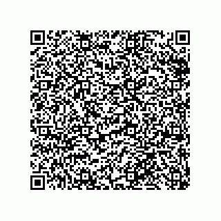 vCard 79999400131
