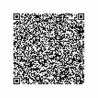 vCard 79999400132