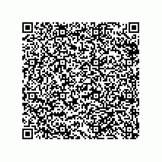 vCard 79999400133