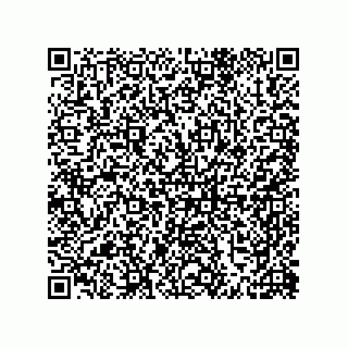 vCard 79999400138
