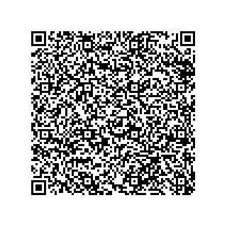 vCard 79999400155