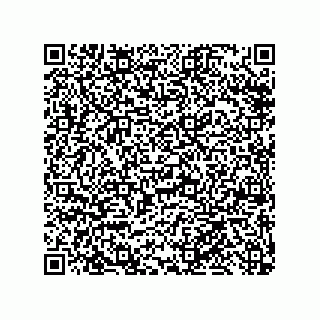 vCard 79999400163