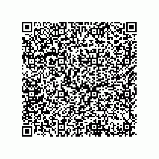 vCard 79999400165