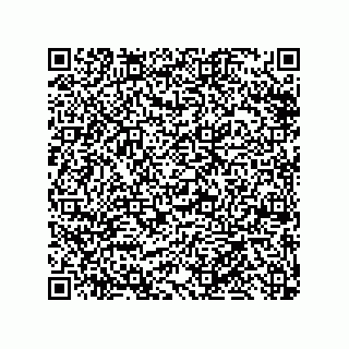 vCard 79999400173