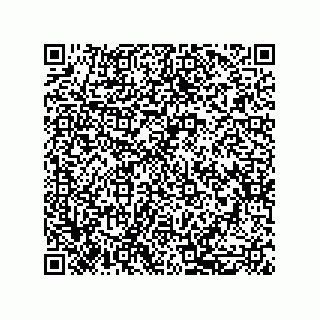 vCard 79999400176