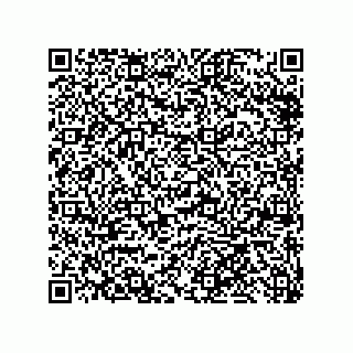 vCard 79999400199
