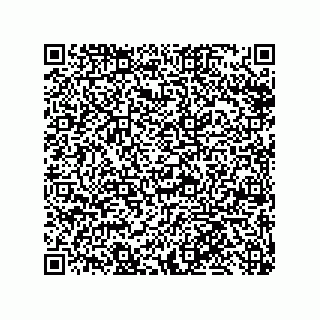 vCard 79999400201