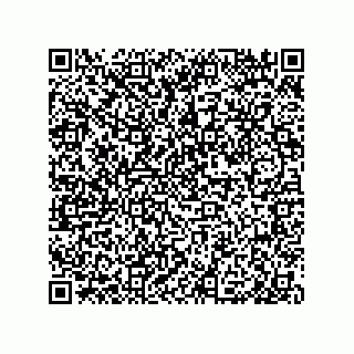 vCard 79999400207