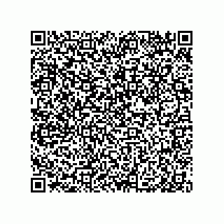vCard 79999400208