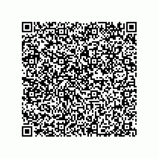 vCard 79999400209