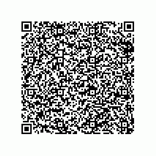 vCard 79999400217