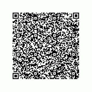 vCard 79999400266