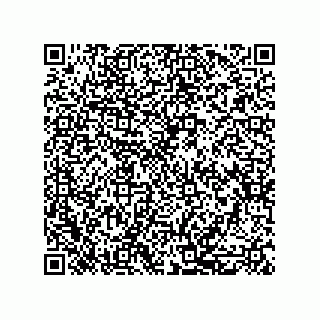 vCard 79999400272