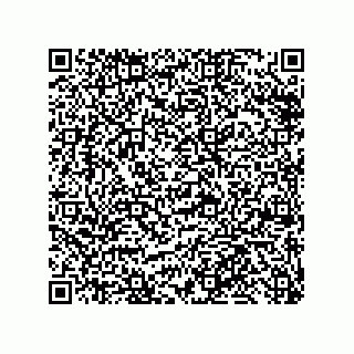 vCard 79999400275