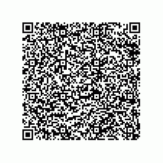 vCard 79999400287