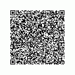 vCard 79999400291