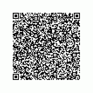 vCard 79999400293