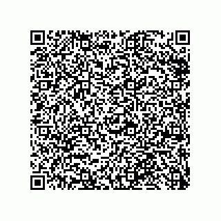 vCard 79999400294