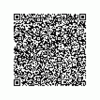 vCard 79999400295