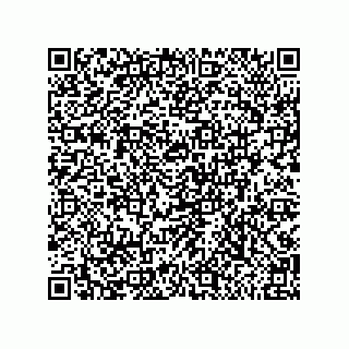 vCard 79999400299