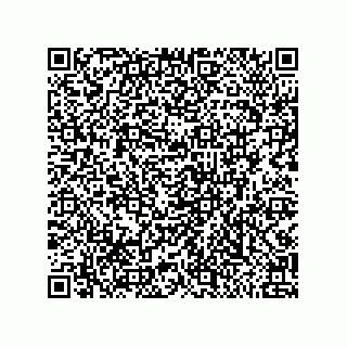 vCard 79999400300