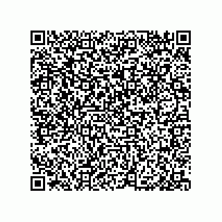 vCard 79999400301