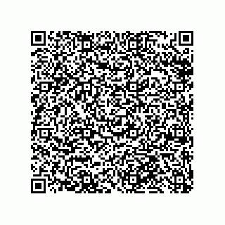 vCard 79999400302