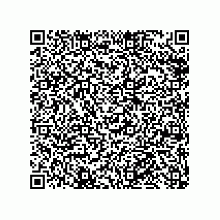 vCard 79999400303