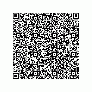 vCard 79999400304