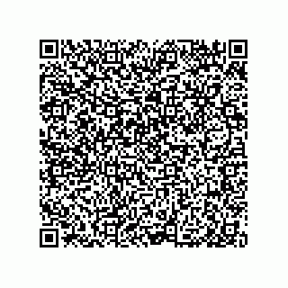 vCard 79999400308