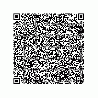 vCard 79999400310
