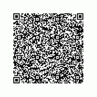vCard 79999400311