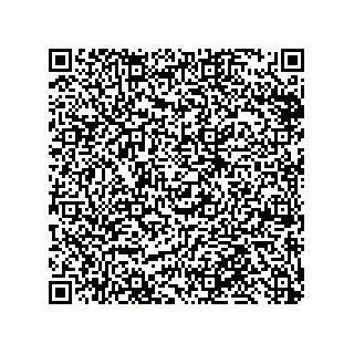 vCard 79999400312