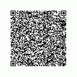vCard 79999400313