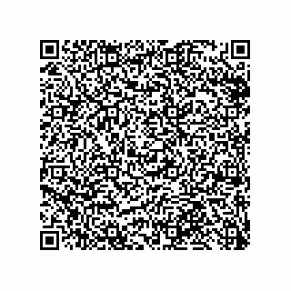 vCard 79999400314
