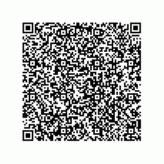 vCard 79999400315