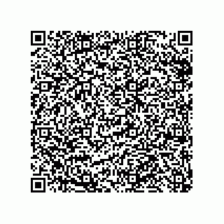 vCard 79999400317
