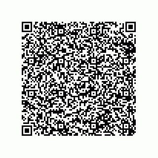 vCard 79999400318